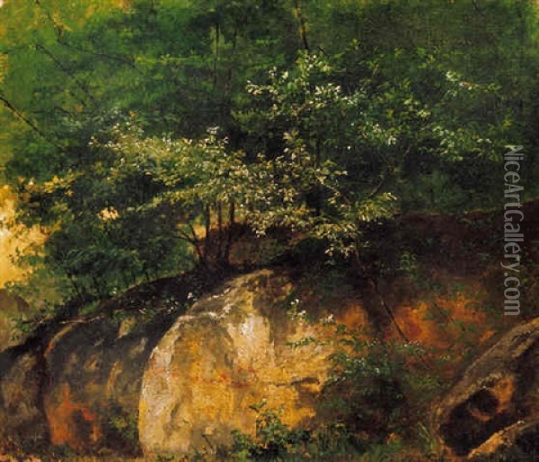 Erdei Sziklak (rocks In The Forest) Oil Painting - Sandor Brodszky