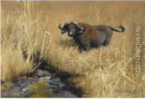 Buffel An Einer Wasserstelle In 
Der Savanne (a Water Buffalo At Awatering Hole In The Savannah) Oil Painting - Wilhelm Kuhnert