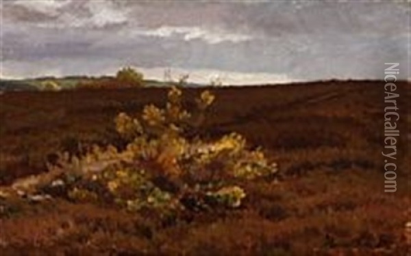 Grey Clouds Hover Above The Danish Moor Oil Painting - Hans Ludvig Smidth