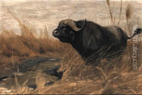 Buffalo In A Field Oil Painting - Wilhelm Friedrich Kuhnert