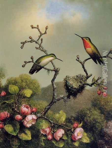 Ruby Throat Of North America Oil Painting - Martin Johnson Heade