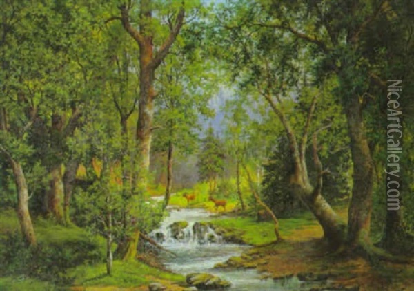 Rotwild Am Waldbach Oil Painting - Joseph Sedlacek