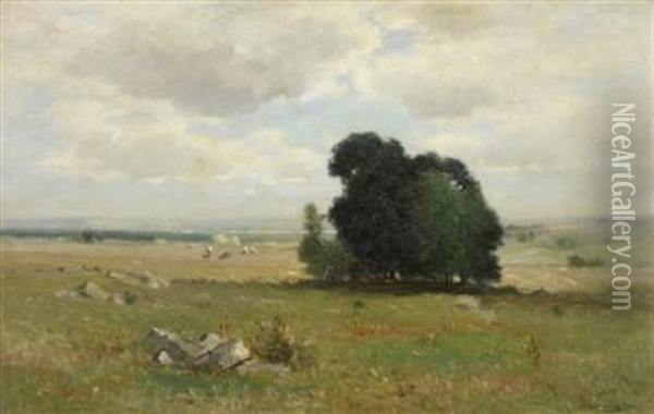 Untitled (a Princeton Pasture) Oil Painting - Joseph H. Greenwood