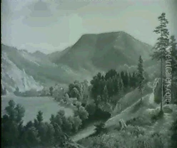 Landschaft Aus Dem Salzkammergut Oil Painting - Friedrich Wachsmann