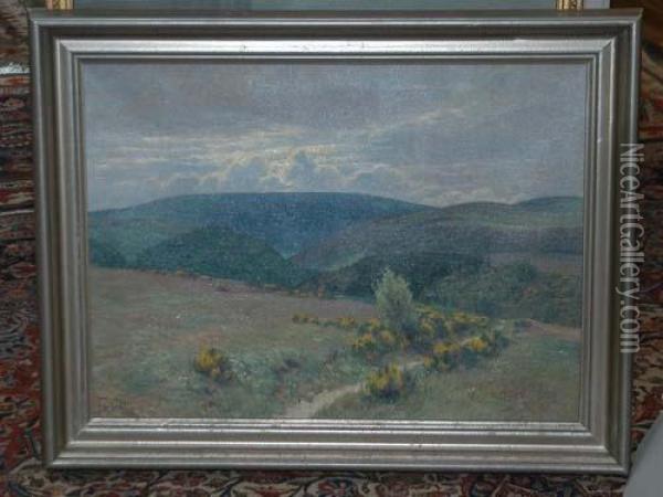 Landschaft Mit Bergen Und Wiese. Oil Painting - Fritz Von Wille