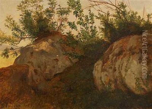 En Skraent Ved Ariccia Oil Painting - Peter (Johann P.) Raadsig