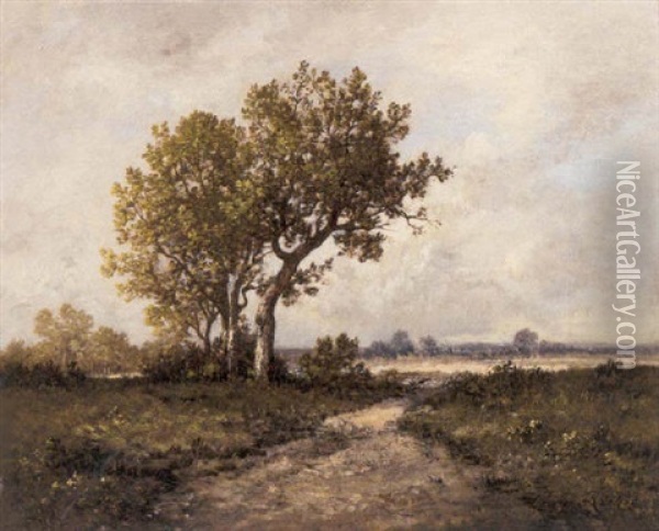 Stream Near A Wooded Landscape Oil Painting - Leon Richet