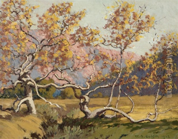 Old Sycamore In Laguna Canyon Oil Painting - William Alexander Griffith