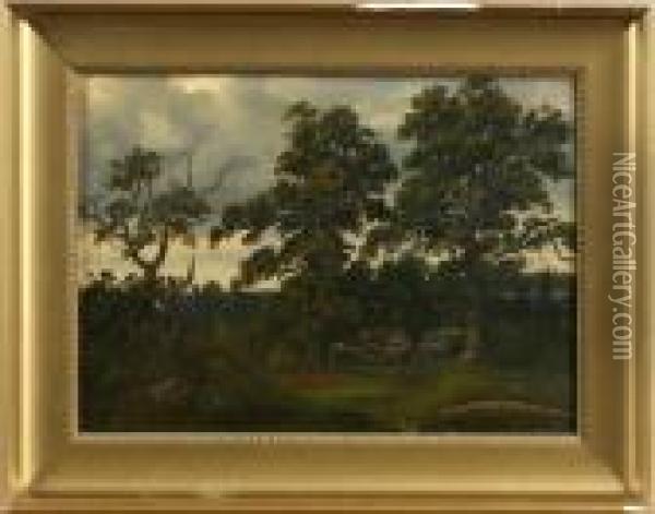 Motiv Fran Kungliga Djurgarden Oil Painting - Carl August Fahlgren