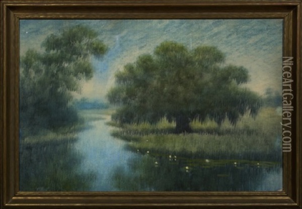 Live Oak And Lily Blossoms On The Louisiana Bayou Oil Painting - Alexander John Drysdale
