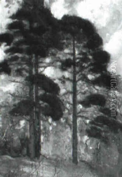 Pine Trees Oil Painting - Hermann Dudley Murphy
