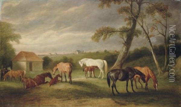 Mares And Foals In An Extensive Landscape Oil Painting - John E. Ferneley