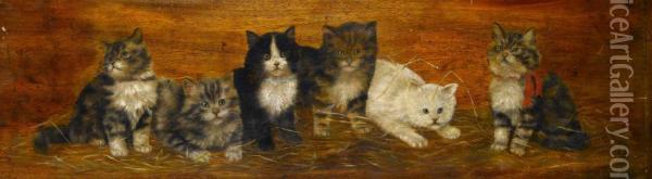 Six Kittens Oil Painting - Bessie, Betsie Bamber