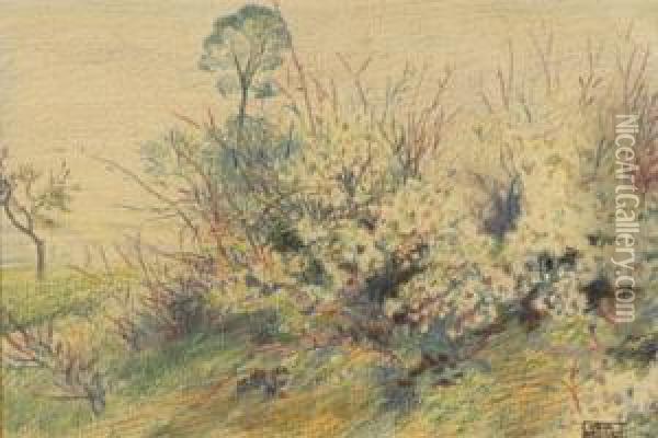 Massif Fleuri Oil Painting - Paul Emile Colin