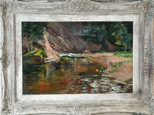 Sommerlicher Bachlauf Im Wald Mit Felsen Oil Painting - Stephanie Von Strechine