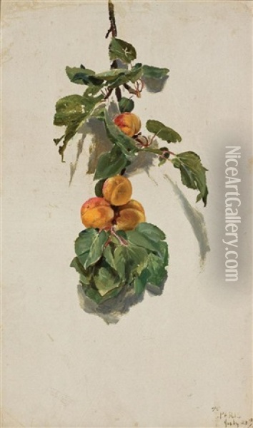 Peaches On A Branch Oil Painting - Conrad Wise Chapman