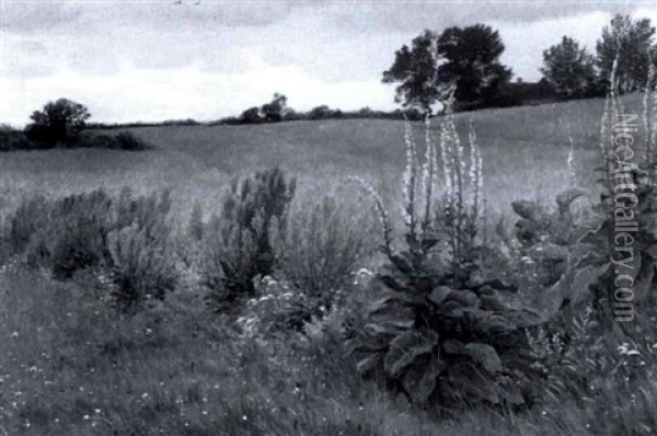 A Field With Wildflowers Oil Painting - Ludvig Kabell