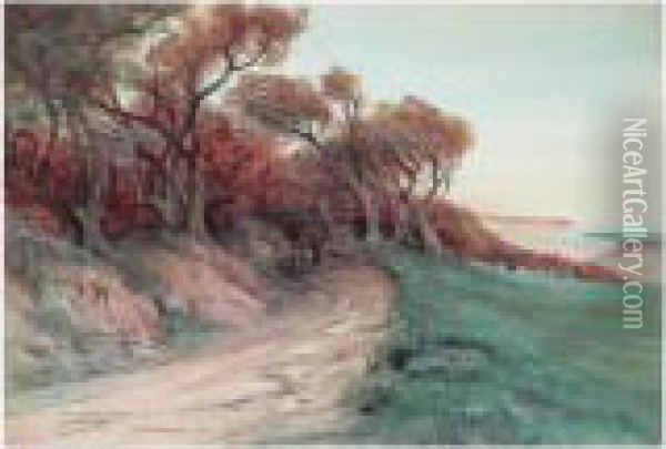 Chemin Boise A Belle-ile Oil Painting - Georges Jules Victor Clairin