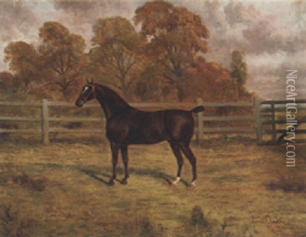 A Liver Chestnut Hunter In A Paddock Oil Painting - James Clark