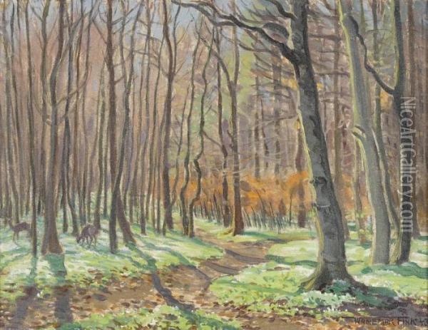 Fruhling Im Wald Oil Painting - Waldemar Fink