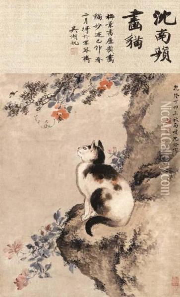 Cat Oil Painting - Shen Quan