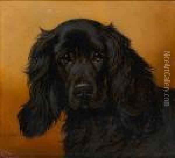 A Cocker Spaniel Oil Painting - John Arnold Wheeler