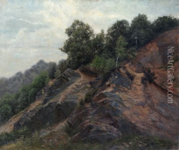 Verlassener Steinbruch (im Wachwitzer Grund Bei Dresden) Oil Painting - August Leonhardi