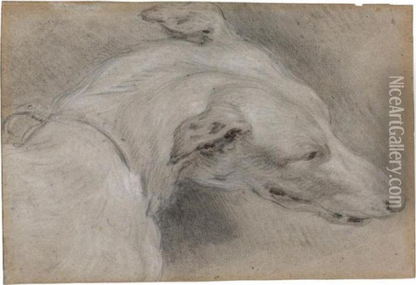 : Study Of The Head And Shoulders Of A Greyhound, Turned To The Left Oil Painting - Frans Snyders