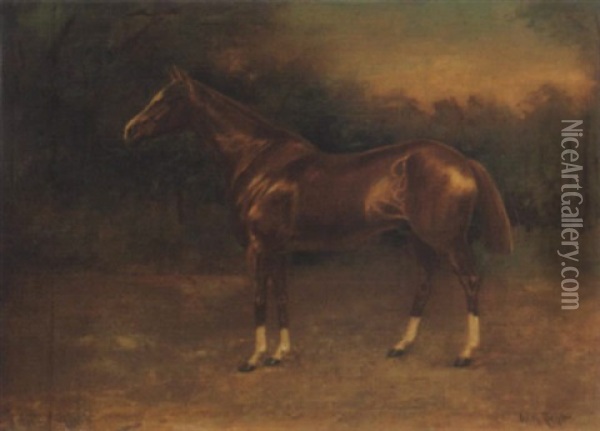 Versenylo (yellow Horse) Oil Painting - Wilhelm M. Richter