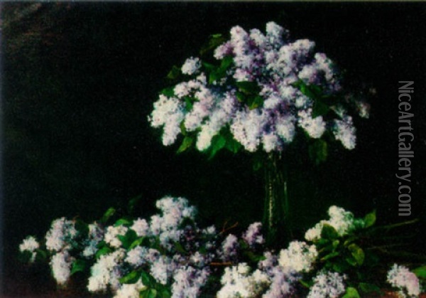 White And Purple Lilac Oil Painting - Korwin Mieczysiaw Piotrowski