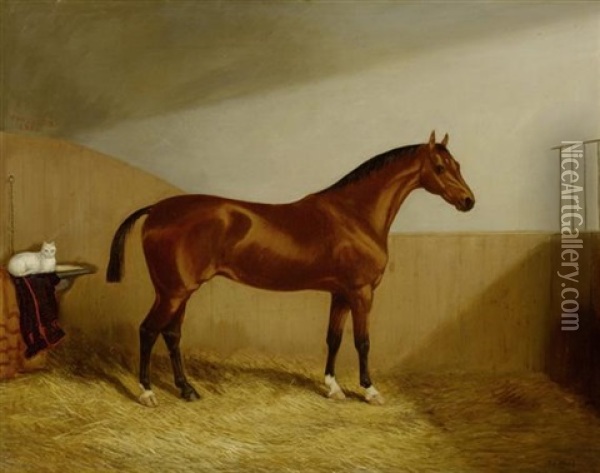 Braunes Pferd Mit Katze In Einem Stall Oil Painting - Martin Theodore Ward