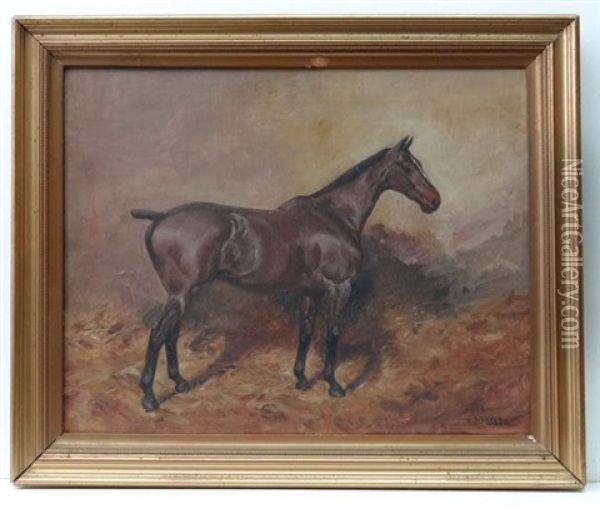 Portrait Of A Bay Hunter Within A Stable Oil Painting - Thomas Ivester Lloyd