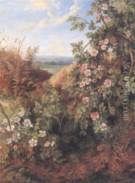 Wild Roses Oil Painting - Albert Durer Lucas
