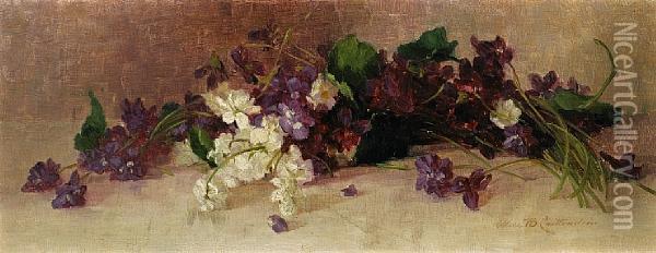 Still Life With Purple And White Blossoms Oil Painting - Alice Brown Chittenden