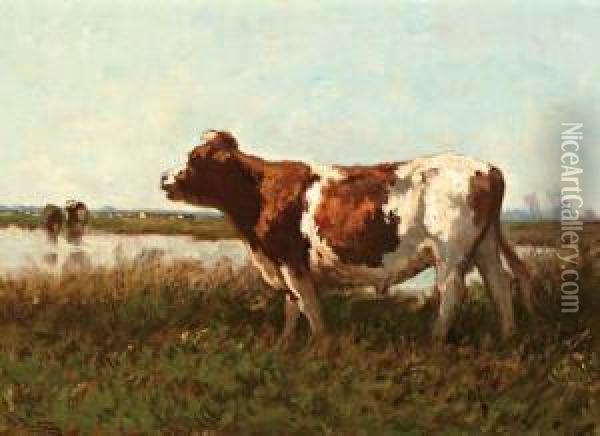 Koe In Weide Langs De Sloot Oil Painting - Jan Martinus Vrolijk