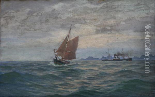 Two Vessels Off A Scandinavian Coast Oil Painting - Martin Aagaard