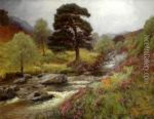 Fir Tree Pool, Cononish River Tyndrum Oil Painting - Alexander Brownlie Docharty