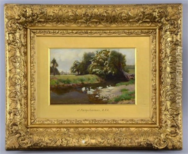 Ducks In And Near A Stream Oil Painting - Joseph Farquharson