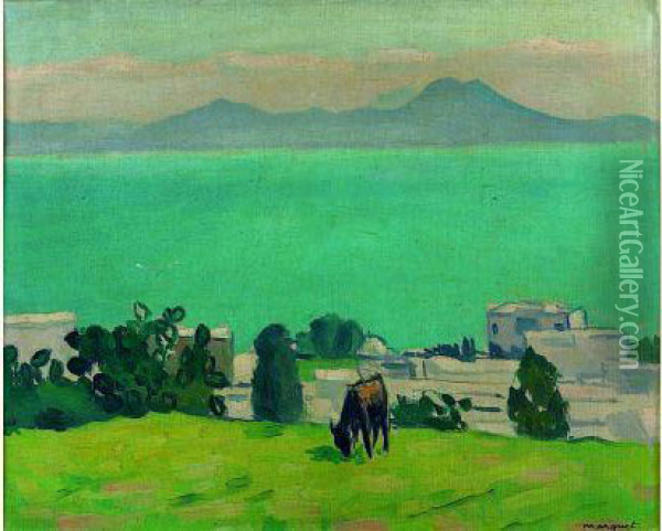 L'ane Broutant - Sidi Bou Said 1923 Oil Painting - Albert Marquet