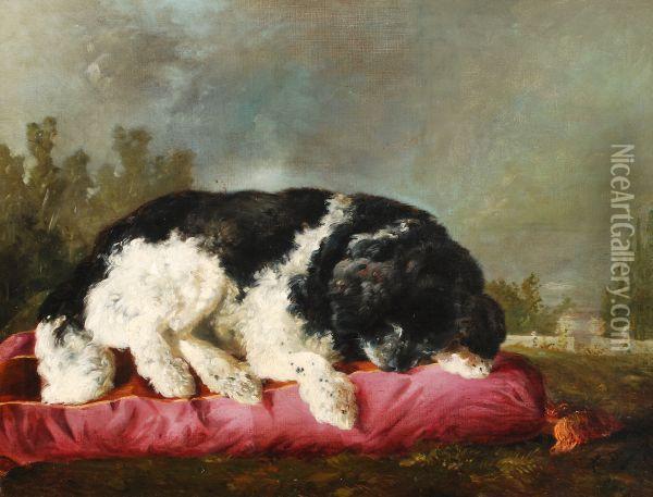 A Portrait Of The Artist's Dog Asleep On A Cushion Oil Painting - Francisco Domingo Marques