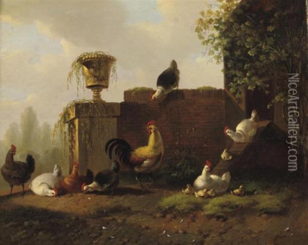 Pluimvee: Chickens In The Sun Oil Painting - Albertus Verhoesen