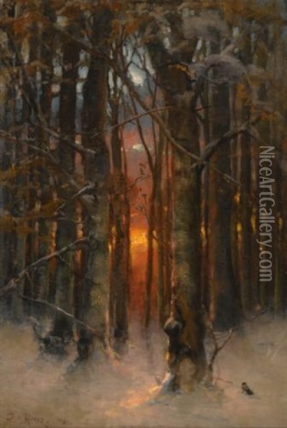 Sunset Through The Trees Oil Painting - Yuliy Yulevich (Julius) Klever