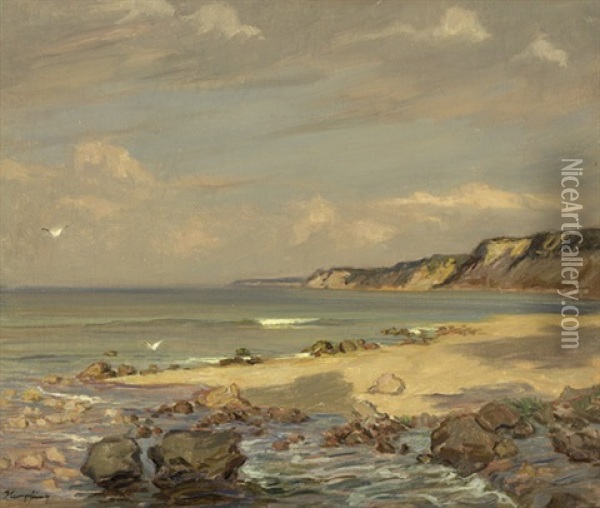 Ansicht Der Samlandischen Kuste An Der Ostsee Oil Painting - Wilhelm Hempfing