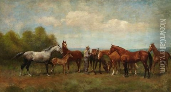 Among The Herd Oil Painting - Paul Giovanni Wickson