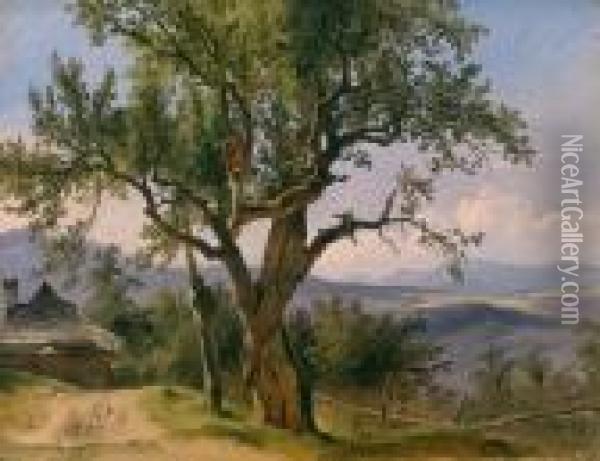 Vecchio Albero Con Immagine Di Devozione Oil Painting - Friedrich Gauermann