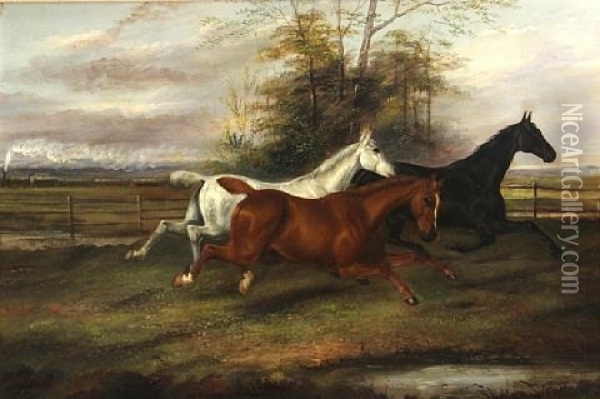 At Full Gallop Oil Painting - James Clark