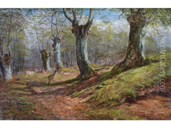 Deer In Burnham Beeches Oil Painting - William Luker Sr.