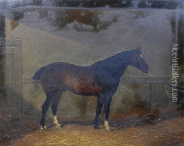 Portrait Of The Racehorse Dobbin In A Stable Oil Painting - Henry Frederick Lucas Lucas
