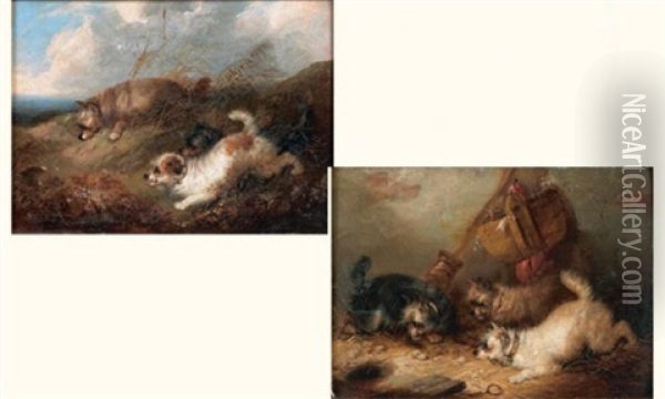 Groupe De Chiens (+ Another; Similar; Pair) Oil Painting - George Armfield