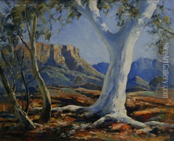 Ghost Gums, Central Australia, Mt Gillen Oil Painting - Robert Johnson